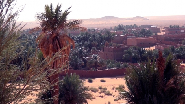 Perlele deșertului | VIDEO