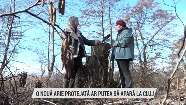 O nouă arie protejată se naște la Cluj | VIDEO