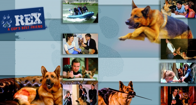 Cine sunt antrenorii celebrului ciobănesc-german Rex, vedeta canină a îndrăgitului serial de la TVR 2