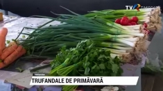 Trufandale de primăvară | VIDEO