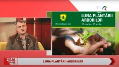 Luna Plantării Arborilor | VIDEO