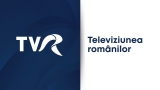 Sigla TVR corporate