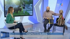 Terapeuți cu blăniță | VIDEO