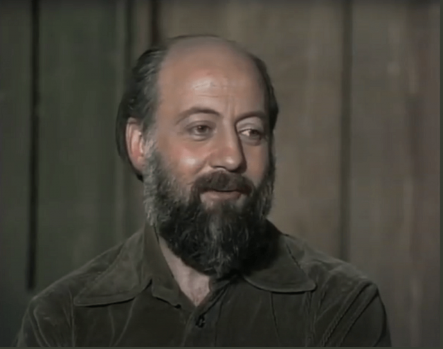 CAPUL - Constantin Dinulescu