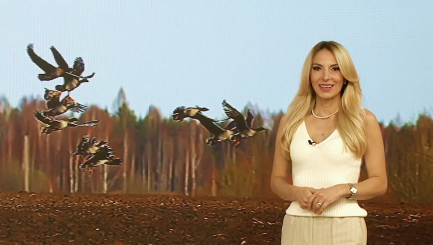 Păsările din România au rubrica lor, la „E vremea ta!” | VIDEO