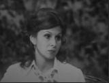 SEARA DE TAINĂ - Mihaela Arsenescu Werner