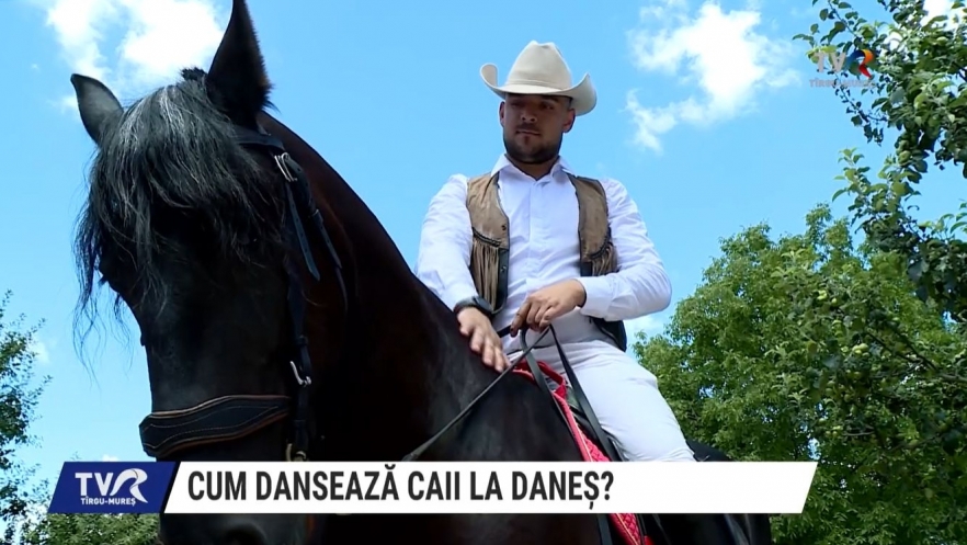 Cum dansează caii la Daneș? | VIDEO
