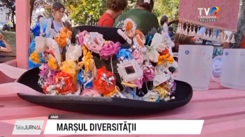 Festivalul Minorităților, la Arad | VIDEO