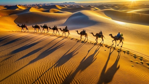 Ultimele caravane din Sahara 