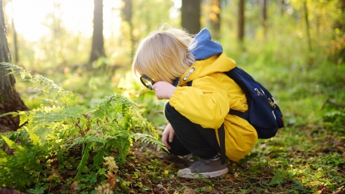 Montessori, educație pentru viitor sau moft de moment