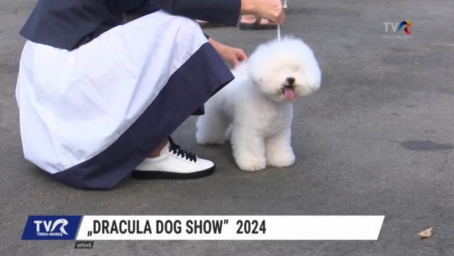 „Dracula Dog Show” 2024 | VIDEO