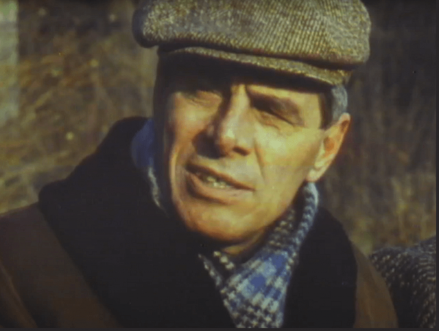 PROIECTUL DE DIPLOMĂ - Mitică Popescu