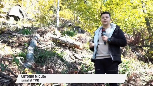 Monitorizarea tăierilor ilegale de arbori în Maramureș | VIDEO