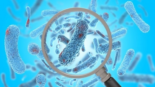 Cum sporim dezvoltarea bacteriilor multirezistente, prin consumul irațional de antibiotice cu spectru larg. Studii de caz: infecțiile urinare, pneumoniile și COVID-19  