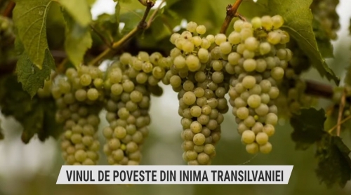 Vinul de poveste din inima Transilvaniei | VIDEO