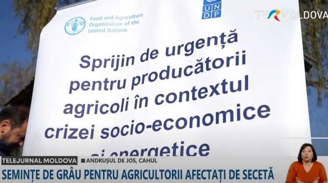 Semințe de grâu pentru agricultorii afectați de secetă în sudul Republicii Moldova | VIDEO