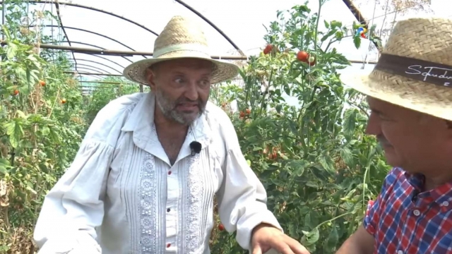 Graiul de la Macea: Un tezaur lingvistic în pericol | VIDEO