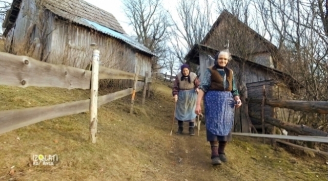 Izolati in Romania - captura ecran