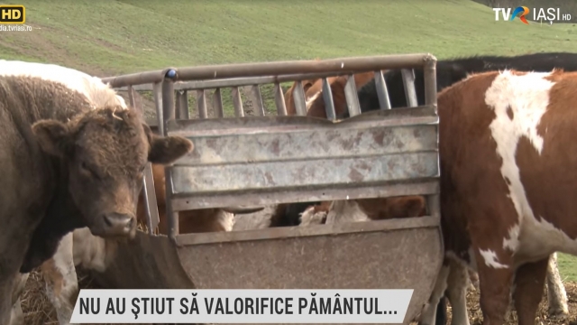 Vânzarea terenului agricol: Secretul amar al sărăciei din satele județului Botoșani | VIDEO