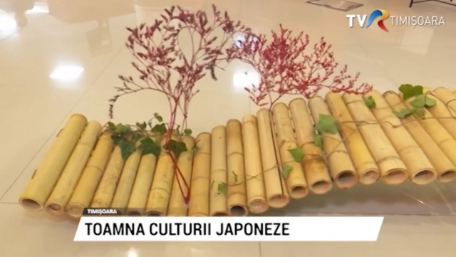 Kakehashi - Toamna culturii japoneze la Timișoara | VIDEO