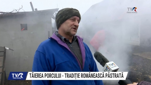 Tăierea porcului - tradiție româneasco păstrată | VIDEO