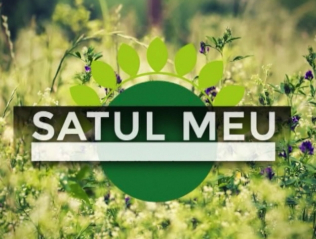 Satul meu