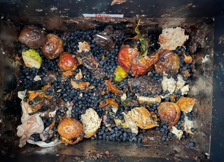 (w882) Compost -