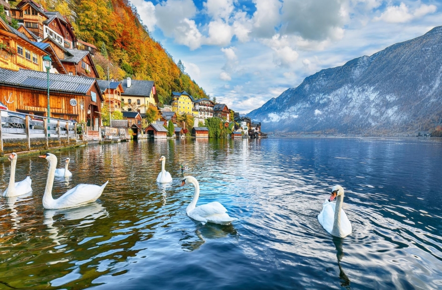 (w882) Hallstatt