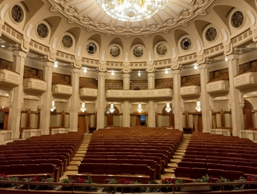 (w500) Palatul Pa