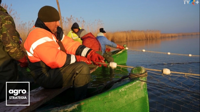 Piscicultură și relaxare pe Dunărea Veche | VIDEO