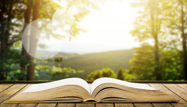 (P) Lectura ca formă de terapie: ce titluri pot schimba perspectiva asupra vieții