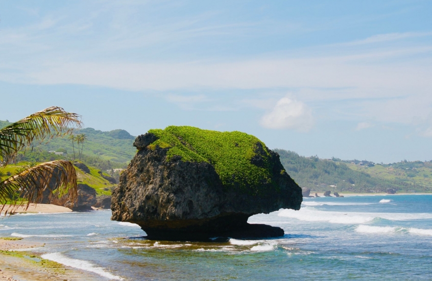 (w882) Barbados_C