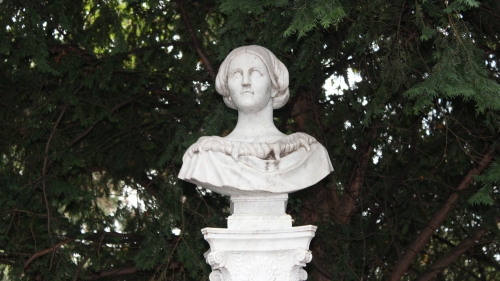 (w500) Bust Steph