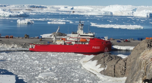 (w500) nava polar