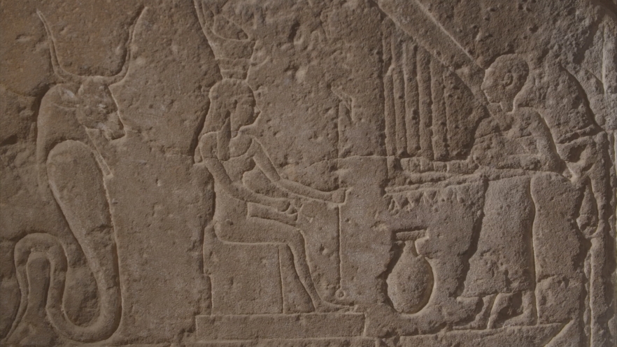 (w882) Documentar