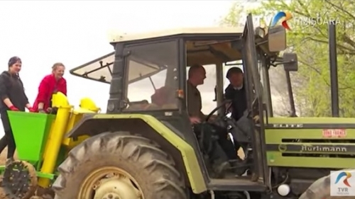 “Cum ne-a fost vorba”: Cum li se zice la cartofi, în Banat | VIDEO