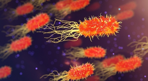Tratamentul infecțiilor respiratorii 