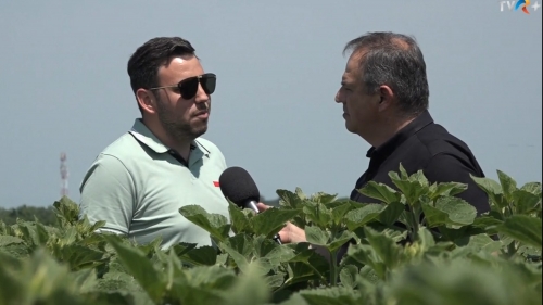 Transformarea agriculturii: Parteneriate și inovație | VIDEO