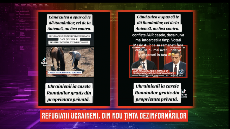 (w882) refugiati