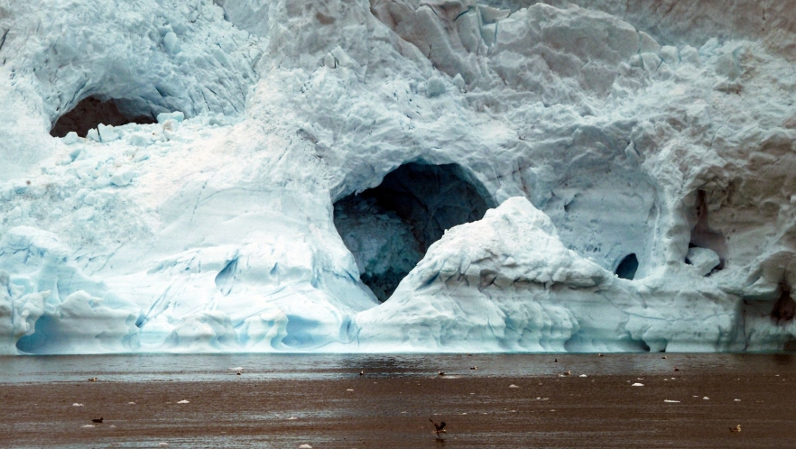 Primele dovezi ale unor păsări antice care cuibăresc deasupra cercului polar