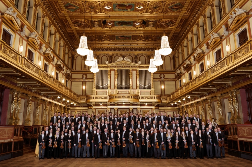 (w882) Vienna Phi