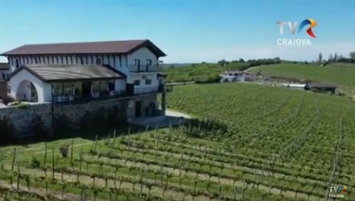 Turism viticol la Drăgășani | VIDEO