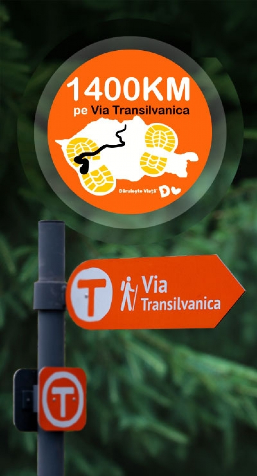 (w882) Via Transi