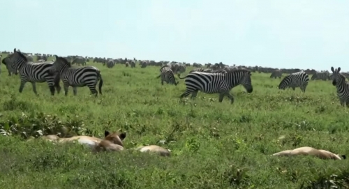 Natura si aventura în... Africa. Jurnal de călătorie: Tanzania (1)