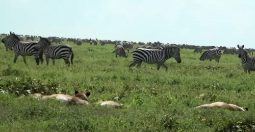 Natura si aventura în... Africa. Jurnal de călătorie: Tanzania (1)