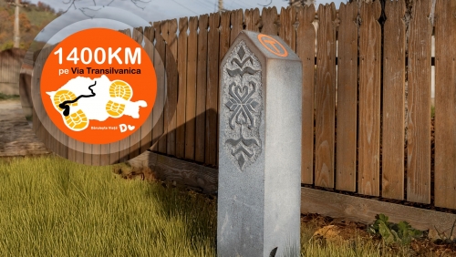 Via Transilvanica - ziua 30: Stejărenii - Mălâncrav 
