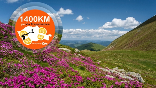 Via Transilvanica – ziua 7: Poiana Negrii – Lunca Ilvei