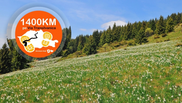 Via Transilvanica – ziua 15: Brâncovenești – Cașva
