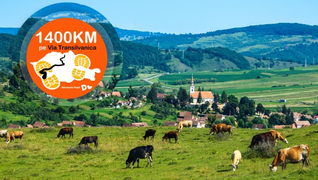 Via Transilvanica - ziua 27: Criț - Saschiz 