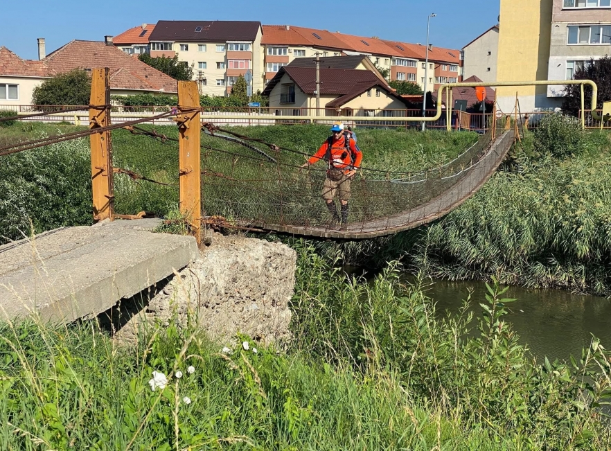 (w882) Alexandru
